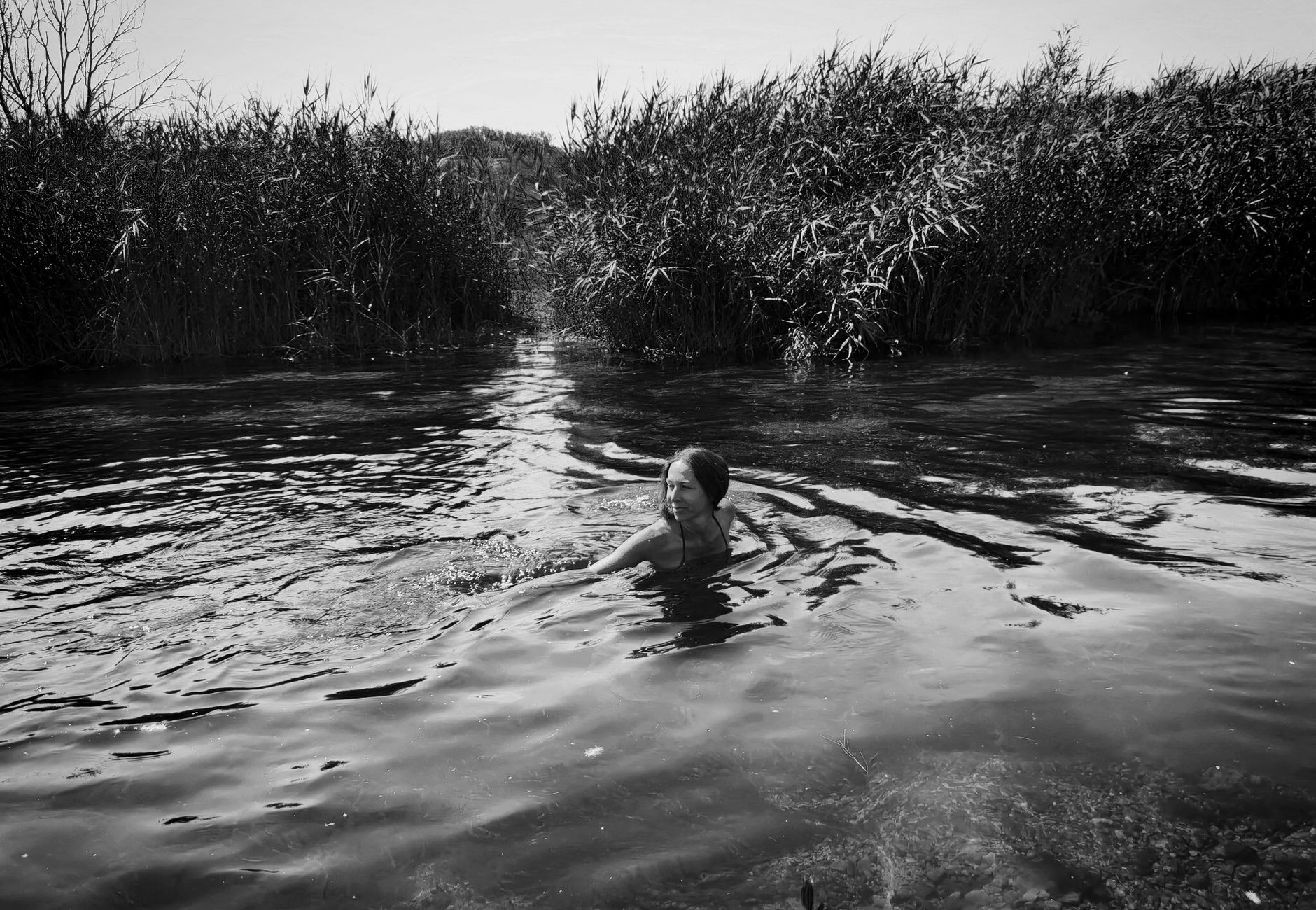 A monochrome image of a woman swimming in a natural water body surrounded by reeds.