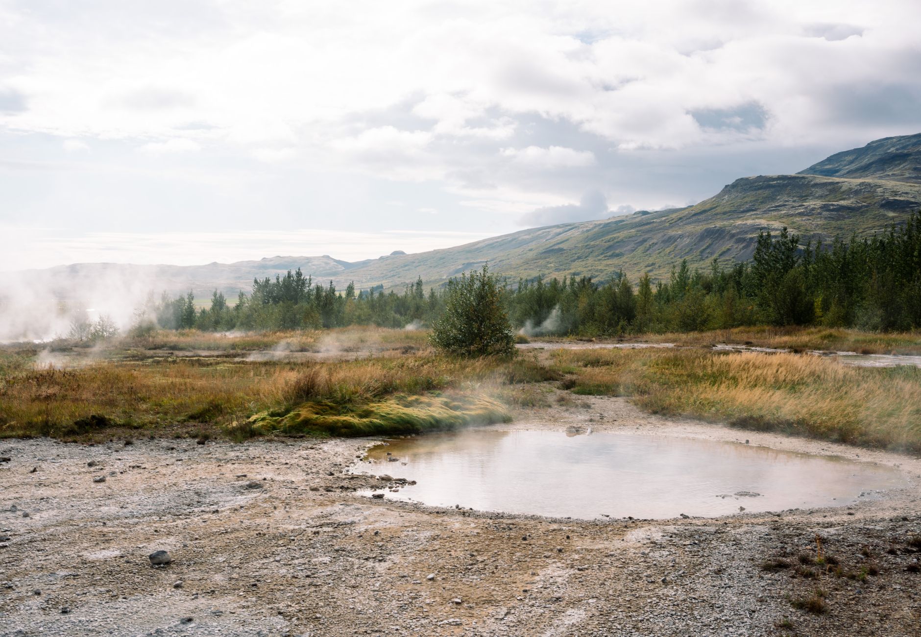 Geysers and steam in a serene Icelandic landscape surrounded by hills and trees.