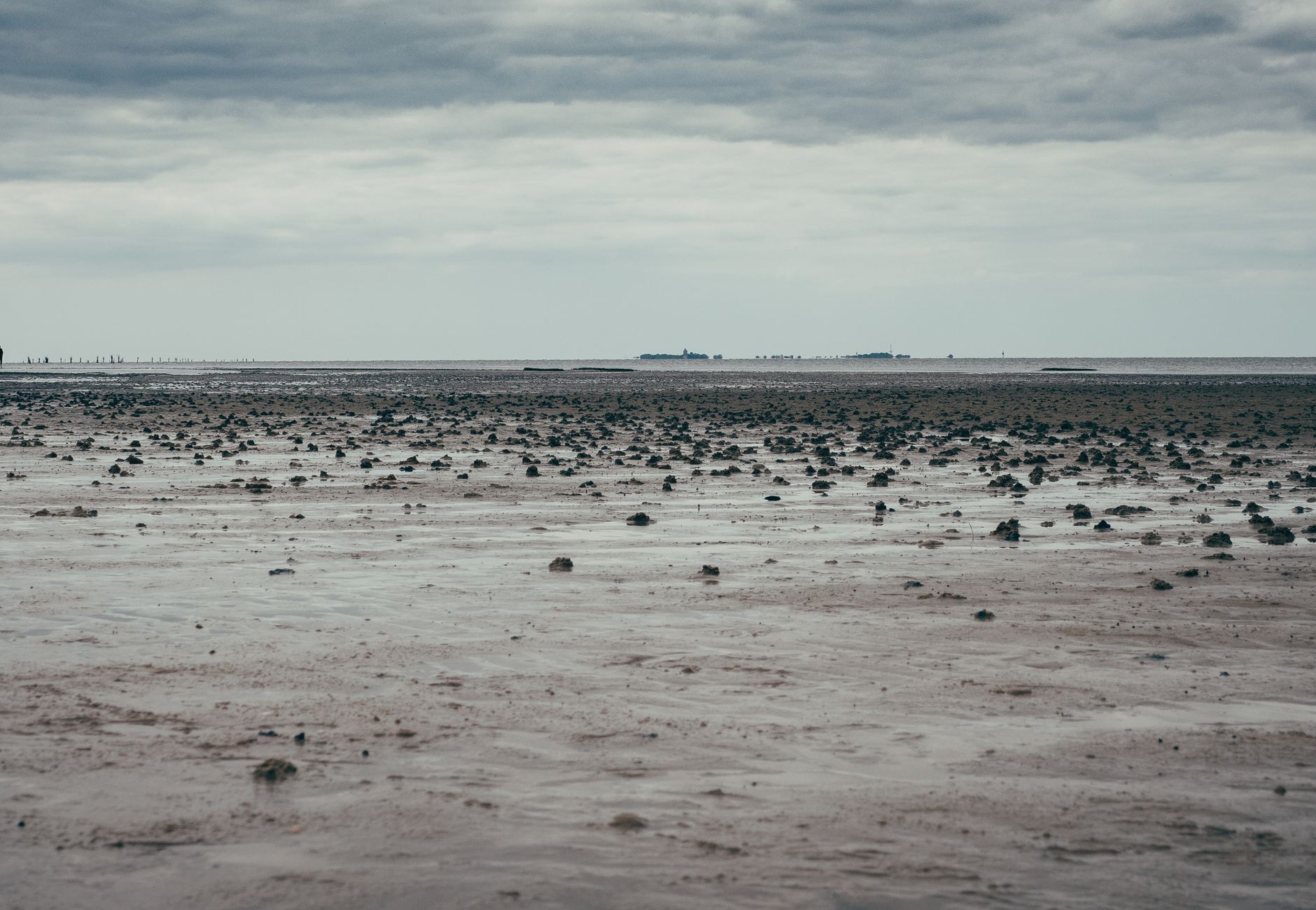 Expansive view of a North Sea mudflat under cloudy skies, showcasing natural beauty.