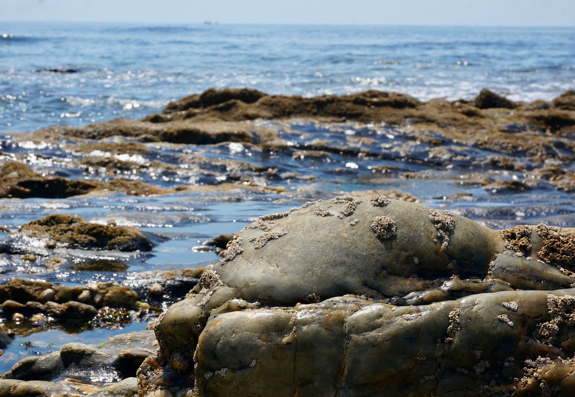 Explore the rugged rocks and calm sea at Matosinhos Beach, Portugal.